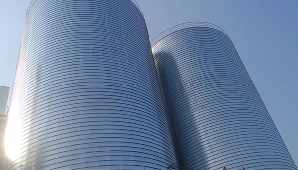 梁河2座混凝土高架卷板仓